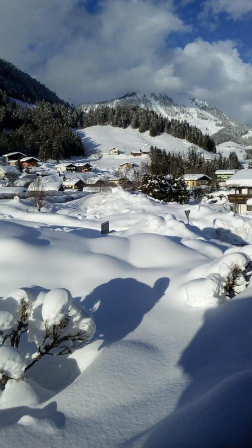 Gaestehaus Walpurga Russbach am Pass Gschütt Kültér fotó