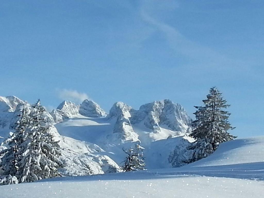 Gaestehaus Walpurga Russbach am Pass Gschütt Kültér fotó