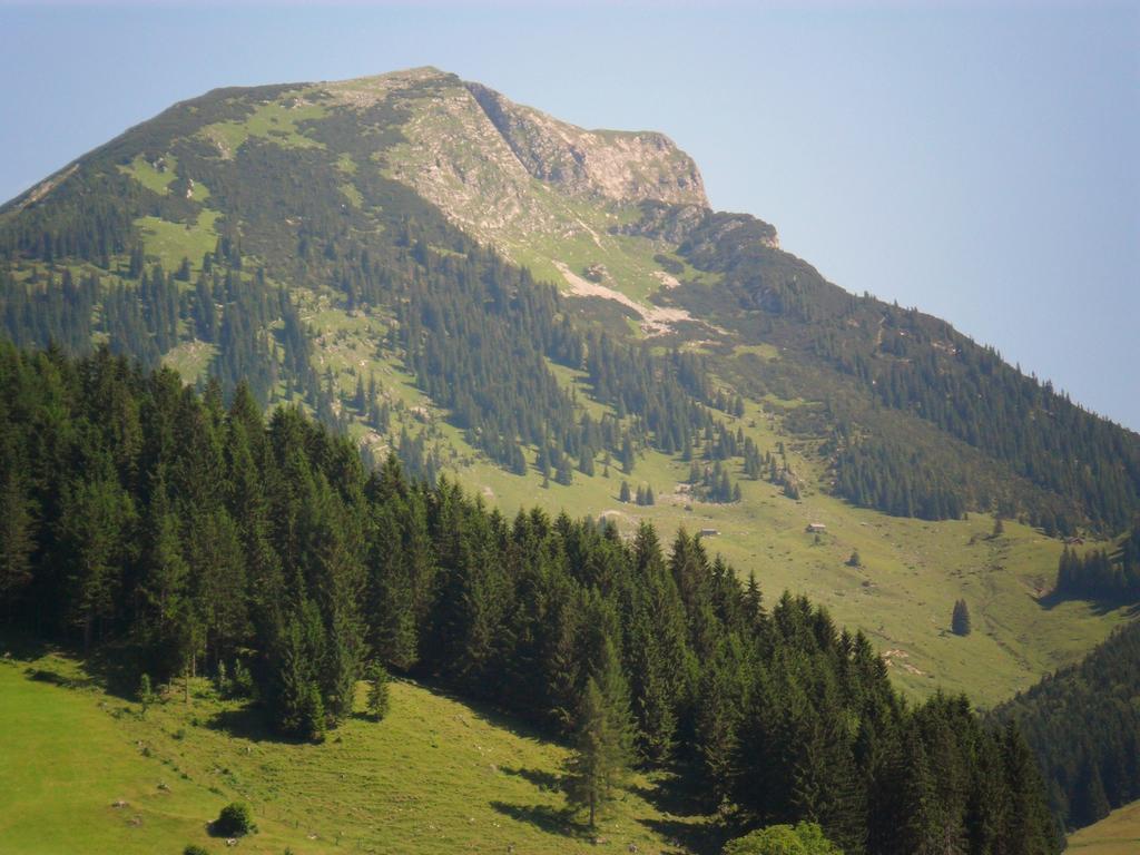 Gaestehaus Walpurga Russbach am Pass Gschütt Kültér fotó